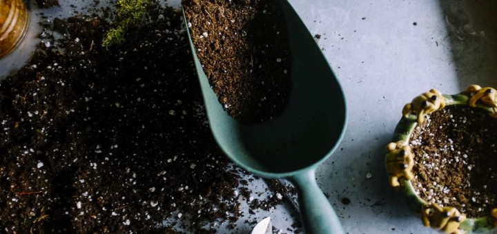 fiction about gardening